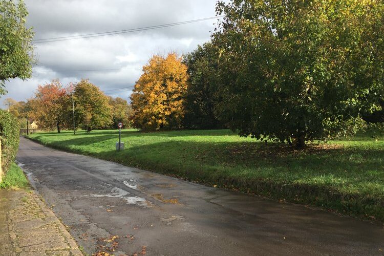 2020 - First autumn cut after summer flowering